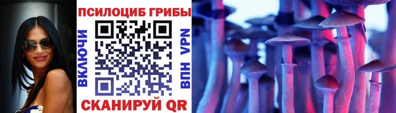 Галлюциногенные грибы прущие грибы  Ржев 