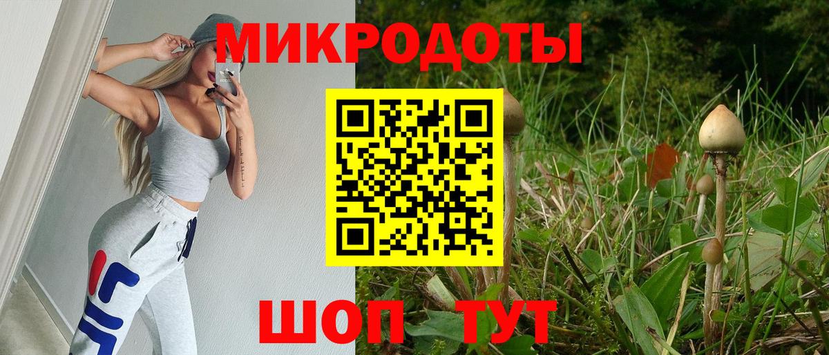 Галлюциногенные грибы Psilocybine cubensis  Галлюциногенные грибы Psilocybe  Ржев  Вход с VPN 