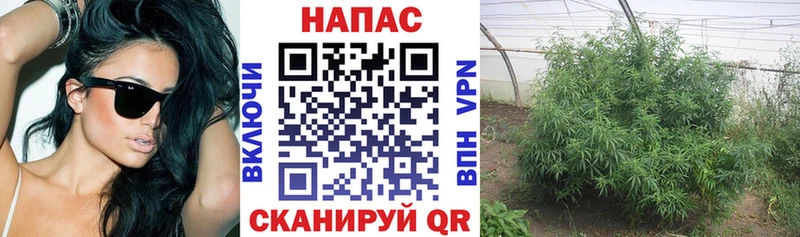 MEGA ссылки  купить наркотики цена  Ржев  Конопля THC 21% 